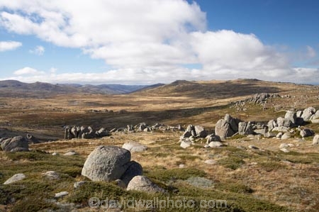 alpine;Australia;geological;geology;Kosciuszko-Lookout;Kosciuszko-N.P.;Kosciuszko-National-Park;Kosciuszko-NP;Kosciuszko-Walk;mountains;N.S.W.;New-South-Wales;NSW;Rams-Head-Range;rock;rock-formation;rock-formations;rock-outcrop;rock-outcrops;rock-tor;rock-torr;rock-torrs;rock-tors;rocks;Snowy-Mountains;Snowy-Mountains-Drive;Snowy-River-Valley;South-New-South-Wales;Southern-New-South-Wales;stone