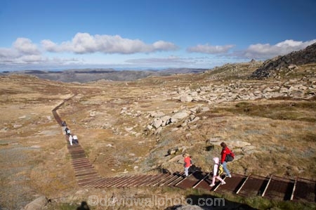 alpine;Australia;hike;hiker;hikers;hiking;hiking-track;hiking-tracks;Kosciuszko-N.P.;Kosciuszko-National-Park;Kosciuszko-NP;Kosciuszko-Track;Kosciuszko-Walk;mountains;N.S.W.;New-South-Wales;NSW;people;person;Rams-Head-Range;Snowy-Mountains;Snowy-Mountains-Drive;South-New-South-Wales;Southern-New-South-Wales;track;tracks;tramp;tramper;trampers;tramping;trek;treker;trekers;treking;trekker;trekkers;trekking;walk;walker;walkers;walking;walking-track;walking-tracks