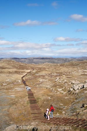 alpine;Australia;hike;hiker;hikers;hiking;hiking-track;hiking-tracks;Kosciuszko-N.P.;Kosciuszko-National-Park;Kosciuszko-NP;Kosciuszko-Track;Kosciuszko-Walk;mountains;N.S.W.;New-South-Wales;NSW;people;person;Rams-Head-Range;Snowy-Mountains;Snowy-Mountains-Drive;South-New-South-Wales;Southern-New-South-Wales;track;tracks;tramp;tramper;trampers;tramping;trek;treker;trekers;treking;trekker;trekkers;trekking;walk;walker;walkers;walking;walking-track;walking-tracks