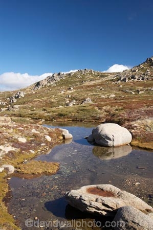 alpine;Australia;boulder;boulders;Kosciuszko-N.P.;Kosciuszko-National-Park;Kosciuszko-NP;Kosciuszko-Walk;mountain-stream;mountain-streams;mountains;N.S.W.;New-South-Wales;North-Rams-Head;NSW;pond;ponds;pool;pools;Rams-Head-Range;rock;rocks;rocky;Small-Mountain-Tarn;Snowy-Mountains;Snowy-Mountains-Drive;South-New-South-Wales;Southern-New-South-Wales