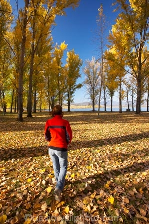 Alpine-Way;Australia;autuminal;autumn;autumn-colour;autumn-colours;autumn-leaves;autumnal;color;colors;colour;colours;deciduous;fall;fallen-leaves;female;leaf;leaves;N.S.W.;New-South-Wales;NSW;people;person;picnic-area;picnic-areas;season;seasonal;seasons;Snowy-Mountains;Snowy-Mountains-Drive;South-New-South-Wales;Southern-New-South-Wales;tree;trees;woman;women;yellow