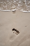 A.C.T.;ACT;Australasia;Australia;Australian-Capital-Territory;beach;beaches;Booderee-N.P.;Booderee-National-Park;Booderee-NP;coast;coastal;coastline;foot-print;foot-prints;footmark;footprint;footprints;Jervis-Bay;Jervis-Bay-Territory;Murrays-Beach;Murrays-Beach;N.S.W.;New-South-Wales;NSW;ocean;oceans;sand;sandy;sea;seas;shore;shoreline;South-New-South-Wales;Southern-New-South-Wales;toe-print;toe-prints