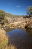 australasia;Australasian;Australia;australian;brook;brooks;creek;creeks;flow;Kosciuszko-N.P.;Kosciuszko-National-Park;Kosciuszko-NP;N.S.W.;New-South-Wales;NSW;river;rivers;s;Snowy-Mountains;Snowy-Mountains-Drive;Snowy-Mountains-Highway;South-New-South-Wales;Southern-New-South-Wales;stream;streams;water;wet;Yarrangobilly-River;Yarrangobilly-Village