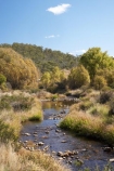 australasia;Australasian;Australia;australian;autuminal;autumn;autumn-colour;autumn-colours;autumnal;brook;brooks;color;colors;colour;colours;creek;creeks;deciduous;fall;flow;Kosciuszko-N.P.;Kosciuszko-National-Park;Kosciuszko-NP;leaf;leaves;N.S.W.;New-South-Wales;NSW;poplar;poplar-tree;poplar-trees;poplars;river;rivers;season;seasonal;seasons;Snowy-Mountains;Snowy-Mountains-Drive;Snowy-Mountains-Highway;South-New-South-Wales;Southern-New-South-Wales;stream;streams;tree;trees;water;wet;Yarrangobilly-River;Yarrangobilly-Village