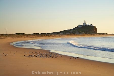Australasian;Australia;Australian;beach;beaches;coast;coastal;coastline;N.S.W.;New-South-Wales;Newcastle;Nobbys-Beach;Nobbys-Head;Nobbys-Head-Light-House;Nobbys-Head-Lighthouse;Nobbys-Headland;Nobbys-Light-House;Nobbys-Lighthouse;Nobbys-Beach;Nobbys-Head;Nobbys-Head-Light-House;Nobbys-Head-Lighthouse;Nobbys-Headland;Nobbys-Light-House;Nobbys-Lighthouse;NSW;ocean;oceans;sand;sandy;sea;seas;shore;shoreline;Tasman-Sea