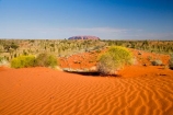 Anugu;arid;Australasia;Australia;Australian;Australian-Desert;Australian-Deserts;back-country;backcountry;Desert;Deserts;dune;dunes;N.T.;National-Park;National-Parks;Northern-Territory;NT;Outback;red-centre;sand;sand-dune;sand-dunes;sand-hill;sand-hills;sand_dune;sand_dunes;sand_hill;sand_hills;sanddune;sanddunes;sandhill;sandhills;sandy;The-Outback;Uluru-_-Kata-Tjuta-National-Park;Uluru-_-Kata-Tjuta-World-Heritage-Area;UNESCO;Unesco-world-heritage-area;World-Heritage-Area;World-Heritage-Areas
