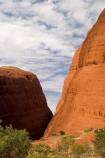 Anugu;arid;Australasia;Australia;Australian;Australian-Desert;Australian-Deserts;back-country;backcountry;bluff;bluffs;cliff;cliffs;Desert;Deserts;Kata-Tjuta;N.T.;National-Park;National-Parks;Northern-Territory;NT;Outback;red-centre;steep;The-Outback;Uluru-_-Kata-Tjuta-National-Park;Uluru-_-Kata-Tjuta-World-Heritage-Area;UNESCO;Unesco-world-heritage-area;Waipa-Gorge;World-Heritage-Area;World-Heritage-Areas