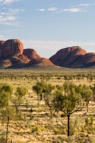 Anugu;arid;Australasia;Australia;Australian;Australian-Desert;Australian-Deserts;back-country;backcountry;Desert;Deserts;Kata-Tjuta;N.T.;National-Park;National-Parks;Northern-Territory;NT;Outback;red-centre;The-Outback;Uluru-_-Kata-Tjuta-National-Park;Uluru-_-Kata-Tjuta-World-Heritage-Area;UNESCO;Unesco-world-heritage-area;World-Heritage-Area;World-Heritage-Areas