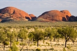 Anugu;arid;Australasia;Australia;Australian;Australian-Desert;Australian-Deserts;back-country;backcountry;Desert;Deserts;Kata-Tjuta;N.T.;National-Park;National-Parks;Northern-Territory;NT;Outback;red-centre;The-Outback;Uluru-_-Kata-Tjuta-National-Park;Uluru-_-Kata-Tjuta-World-Heritage-Area;UNESCO;Unesco-world-heritage-area;World-Heritage-Area;World-Heritage-Areas