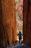Alice-Springs;Australasia;Australia;Australian;Australian-Outback;canyon;canyons;Central-Australia;chasm;chasms;gorge;gorges;N.T.;Northern-Territory;NT;Outback;red;rock;slot-canyon;slot-canyons;Standley-Canyon;Standley-Gorge;Standlley-Chasm;tourism;tourist;tourists;travel;West-MacDonnell-N.P.;West-MacDonnell-National-Park;West-MacDonnell-NP;West-MacDonnell-Ranges;West-MacDonnells-N.P.;West-MacDonnells-National-Park;West-MacDonnells-NP;West-Macs