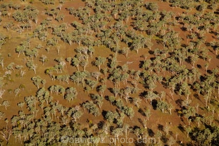 aerial;aerial-photo;aerial-photograph;aerial-photographs;aerial-photography;aerial-photos;aerial-view;aerial-views;aerials;Australia;Australian;eucalypt;eucalypts;eucalyptus;eucalytis;flood-plain;flood-plains;floodplain;floodplains;Gagadju;gum;gum-tree;gum-trees;gums;Kakadu;Kakadu-N.P.;Kakadu-National-Park;Kakadu-NP;N.T.;Northern-Territory;NT;Top-End;tree;trees;UN-world-heritage-area;UN-world-heritage-site;UNESCO-World-Heritage-area;UNESCO-World-Heritage-Site;united-nations-world-heritage-area;united-nations-world-heritage-site;wilderness;wilderness-area;wilderness-areas;world-heritage;world-heritage-area;world-heritage-areas;World-Heritage-Park;World-Heritage-site;World-Heritage-Sites