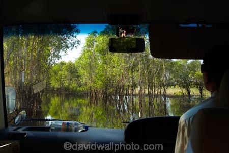 Australia;Australian;billabong;billabongs;bus;buses;calm;coach;coaches;flood-plain;flood-plains;flooded-road;flooded-roads;flooding;floodplain;floodplains;Gagadju;Gagudju-Dreaming;Kakadu;Kakadu-billabong;Kakadu-billabongs;Kakadu-flood-plain;Kakadu-flood-plains;Kakadu-floodplain;Kakadu-floodplains;Kakadu-N.P.;Kakadu-National-Park;Kakadu-NP;Kakadu-wetland;Kakadu-wetlands;N.T.;Northern-Territory;NT;placid;quiet;reflection;reflections;road-conditions;serene;smooth;still;Top-End;tour-bus;tour-buses;touring;tourism;tourist;tourist-bus;tourist-buses;tourist-coach;tourist-coaches;tourists;tranquil;UN-world-heritage-area;UN-world-heritage-site;UNESCO-World-Heritage-area;UNESCO-World-Heritage-Site;united-nations-world-heritage-area;united-nations-world-heritage-site;water;wet-season;wetland;wetlands;world-heritage;world-heritage-area;world-heritage-areas;World-Heritage-Park;World-Heritage-site;World-Heritage-Sites;Yellow-Water;Yellow-Water-Billabong;Yellow-Water-Cruises-bus;Yellow-Water-Wetland;Yellow-Water-Wetlands