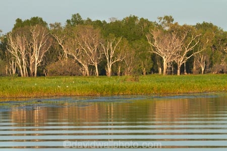 Australia;Australian;billabong;billabongs;calm;flood-plain;flood-plains;floodplain;floodplains;Gagadju;Gagudju-Dreaming;Kakadu;Kakadu-billabong;Kakadu-billabongs;Kakadu-flood-plain;Kakadu-flood-plains;Kakadu-floodplain;Kakadu-floodplains;Kakadu-N.P.;Kakadu-National-Park;Kakadu-NP;Kakadu-wetland;Kakadu-wetlands;N.T.;national-parks;Northern-Territory;NT;placid;quiet;reflection;reflections;serene;smooth;still;Top-End;tranquil;tree;trees;UN-world-heritage-area;UN-world-heritage-site;UNESCO-World-Heritage-area;UNESCO-World-Heritage-Site;united-nations-world-heritage-area;united-nations-world-heritage-site;water;wetland;wetlands;wilderness;wilderness-area;wilderness-areas;world-heritage;world-heritage-area;world-heritage-areas;World-Heritage-Park;World-Heritage-site;World-Heritage-Sites;Yellow-Water;Yellow-Water-Billabong;Yellow-Water-Wetland;Yellow-Water-Wetlands