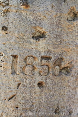 1856;2nd-July-1856;Augustus-Charles-Gregory;Augustus-Gregory;Australasia;Australia;Australian;Australian-Outback;back-country;backcountry;carved-boab;early-explorer;early-explorers;Gregory-Expedition;Gregory-N.P;Gregory-National-Park;Gregory-NP;Gregorys-Tree;Gregorys-Tree;Jutpurra-N.P;Jutpurra-National-Park;Jutpurra-NP;N.T.;national-parks;Northern-Territory;NT;Outback;Top-End;Victoria-Highway;Victoria-River