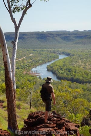 Australasia;Australia;Australian;Australian-Outback;back-country;backcountry;backwoods;country;countryside;escarpment;excarpments;geographic;geography;Gregory-N.P;Gregory-National-Park;Gregory-NP;hike;hiker;hikers;hiking;hiking-track;hiking-tracks;Jutpurra-N.P;Jutpurra-National-Park;Jutpurra-NP;N.T.;national-parks;Northern-Territory;NT;Outback;remote;remoteness;river;rivers;rural;Top-End;tramp;tramper;trampers;tramping;tramping-tack;tramping-tracks;trek;treker;trekers;treking;trekker;trekkers;trekking;Victoria-Highway;Victoria-River;view;views;walk;walker;walkers;walking;walking-track;walking-tracks;wilderness