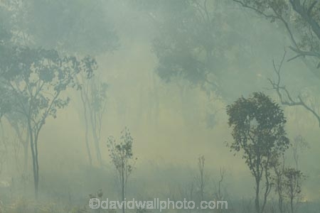 alight;Australasia;Australia;burn;burned;burning;burnoff;burnoffs;burns;burnt;bush-fire;bush-fires;carbon;danger;dangerous;destruction;fire;fires;flamable;grass-fire;grass-fires;heat;highway;highways;hot;N.T.;Northern-Territory;NT;on-fire;pollution;road;roads;smoke;smokey;Stuart-Highway;Top-End;wild-fire;wild-fires;wildfire;wildfires