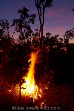 alight;Australasia;Australia;burn;burned;burning;burnoff;burnoffs;burns;burnt;bush-fire;bush-fires;danger;dangerous;destruction;dusk;evening;fire;fires;flamable;flame;flames;flaming;grass-fire;grass-fires;heat;hot;Litchfield-N.P.;Litchfield-National-Park;Litchfield-NP;N.T.;night;night-time;Northern-Territory;NT;on-fire;orange;Top-End;twilight;wild-fire;wild-fires;wildfire;wildfires
