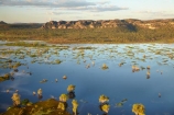 aerial;aerial-photo;aerial-photograph;aerial-photographs;aerial-photography;aerial-photos;aerial-view;aerial-views;aerials;Australia;Australian;billabong;billabongs;flood-plain;flood-plains;floodplain;floodplains;Gagadju;Kakadu;Kakadu-billabong;Kakadu-billabongs;Kakadu-flood-plain;Kakadu-flood-plains;Kakadu-floodplain;Kakadu-floodplains;Kakadu-N.P.;Kakadu-National-Park;Kakadu-NP;Kakadu-wetland;Kakadu-wetlands;Magela-Creek;Magela-Creek-System;Magela-Creek-Wetlands;Magela-Wetlands;N.T.;Northern-Territory;NT;rainy-season;seasonal;Top-End;UN-world-heritage-area;UN-world-heritage-site;UNESCO-World-Heritage-area;UNESCO-World-Heritage-Site;united-nations-world-heritage-area;united-nations-world-heritage-site;wet-season;wetland;wetlands;wilderness;wilderness-area;wilderness-areas;world-heritage;world-heritage-area;world-heritage-areas;World-Heritage-Park;World-Heritage-site;World-Heritage-Sites