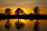 Australia;Australian;billabong;billabongs;break-of-day;calm;dawn;dawning;daybreak;first-light;flood-plain;flood-plains;floodplain;floodplains;Gagadju;Gagudju-Dreaming;Kakadu;Kakadu-billabong;Kakadu-billabongs;Kakadu-flood-plain;Kakadu-flood-plains;Kakadu-floodplain;Kakadu-floodplains;Kakadu-N.P.;Kakadu-National-Park;Kakadu-NP;Kakadu-wetland;Kakadu-wetlands;morning;N.T.;Northern-Territory;NT;orange;placid;quiet;reflection;reflections;serene;smooth;still;sunrise;sunrises;sunup;Top-End;tranquil;twilight;UN-world-heritage-area;UN-world-heritage-site;UNESCO-World-Heritage-area;UNESCO-World-Heritage-Site;united-nations-world-heritage-area;united-nations-world-heritage-site;water;wetland;wetlands;wilderness;wilderness-area;wilderness-areas;world-heritage;world-heritage-area;world-heritage-areas;World-Heritage-Park;World-Heritage-site;World-Heritage-Sites;Yellow-Water;Yellow-Water-Billabong;Yellow-Water-Wetland;Yellow-Water-Wetlands