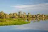 Australia;Australian;billabong;billabongs;calm;flood-plain;flood-plains;floodplain;floodplains;Gagadju;Gagudju-Dreaming;Kakadu;Kakadu-billabong;Kakadu-billabongs;Kakadu-flood-plain;Kakadu-flood-plains;Kakadu-floodplain;Kakadu-floodplains;Kakadu-N.P.;Kakadu-National-Park;Kakadu-NP;Kakadu-wetland;Kakadu-wetlands;N.T.;Northern-Territory;NT;placid;quiet;reflection;reflections;serene;smooth;still;Top-End;tranquil;tree;trees;UN-world-heritage-area;UN-world-heritage-site;UNESCO-World-Heritage-area;UNESCO-World-Heritage-Site;united-nations-world-heritage-area;united-nations-world-heritage-site;water;wetland;wetlands;wilderness;wilderness-area;wilderness-areas;world-heritage;world-heritage-area;world-heritage-areas;World-Heritage-Park;World-Heritage-site;World-Heritage-Sites;Yellow-Water;Yellow-Water-Billabong;Yellow-Water-Wetland;Yellow-Water-Wetlands