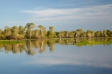 Australia;Australian;billabong;billabongs;calm;flood-plain;flood-plains;floodplain;floodplains;Gagadju;Gagudju-Dreaming;Kakadu;Kakadu-billabong;Kakadu-billabongs;Kakadu-flood-plain;Kakadu-flood-plains;Kakadu-floodplain;Kakadu-floodplains;Kakadu-N.P.;Kakadu-National-Park;Kakadu-NP;Kakadu-wetland;Kakadu-wetlands;N.T.;Northern-Territory;NT;placid;quiet;reflection;reflections;serene;smooth;still;Top-End;tranquil;tree;trees;UN-world-heritage-area;UN-world-heritage-site;UNESCO-World-Heritage-area;UNESCO-World-Heritage-Site;united-nations-world-heritage-area;united-nations-world-heritage-site;water;wetland;wetlands;wilderness;wilderness-area;wilderness-areas;world-heritage;world-heritage-area;world-heritage-areas;World-Heritage-Park;World-Heritage-site;World-Heritage-Sites;Yellow-Water;Yellow-Water-Billabong;Yellow-Water-Wetland;Yellow-Water-Wetlands