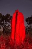 ant-hill;ant-hills;anthill;anthills;Australasia;Australia;Cathedral-mounds;Cathedral-Termite-mounds;dusk;evening;N.T.;nightfall;Northern-Territory;NT;orange;red-light;sky;star;stars;sunset;sunsets;termitaria;termite-colonies;termite-colony;termite-hill;termite-hills;termite-mound;termite-mounds;termite-nest;termite-nests;Top-End;twilight