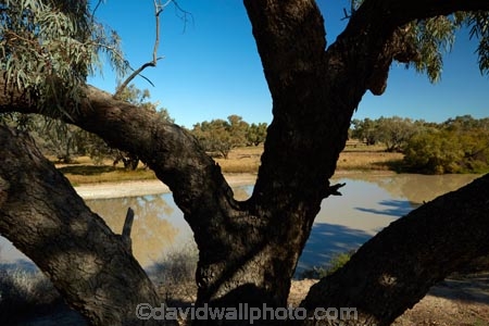 Queensland;Australia;Qld;Australian;Dig-Tree;The-Dig-Tree;Burke-and-Wills-expedition;Burke-and-Wills;Coopers-Creek;Innamincka;Durham;Shire-of-Bulloo;historic-site;heritage