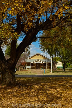 Qld;Queensland;Australia;outback;Australian;Balonne;Region;Balonne-Shire;Shire-of-Balonne;heritage;historic;historic-building;historic-buildings;historical;historical-building;historical-buildings;history;Historic-Court-House;courthouse;court-house;court;houses;St-George;autumn;fall;autumn-colour;colour;yellow;leaves;tree;yellow-leaves;Southwest-Queensland;South-West;Queensland
