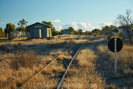 Thallon;Balonne;Region;Qld;Queensland;Australia;outback;Australian;Thallon-Railway-Station;railway-station;Thallon-Station;railway;railway-tracks;tracks;overgrown