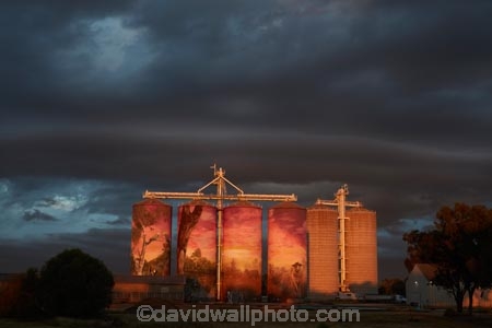 Thallon;Balonne;Region;Qld;Queensland;Australia;outback;Australian;Murals;mural;grain-silos;silo;silos;grain-silo;art;artworks;art-works;Balonne-Region;Joel-Fergie;Travis-Vinson;The-Zookeeper;Drapl;Storm-clouds-storm-cloud;black-clouds;dark-clouds;clouds;cloud;cloudy;approaching-storm;Southwest-Queensland;South-West;Queensland