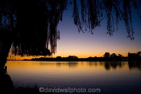 Australasia;Australia;Australian;break-of-day;calm;dawn;dawning;daybreak;first-light;Mannum;morning;Murray-Basin;Murray-Darling-Basin;Murray-Darling-System;Murray-River;orange;placid;quiet;reflection;reflections;River;rivers;S.A.;SA;serene;silhouette;silhouettes;smooth;South-Australia;still;sunrise;sunrises;sunup;tranquil;tree;trees;twilight;willow;willow-tree;willow-trees;willows