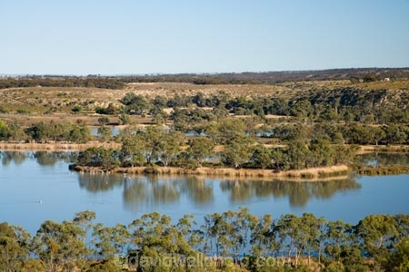 Australasia;Australia;Australian;calm;Murray-Basin;Murray-Darling-Basin;Murray-Darling-System;Murray-River;placid;quiet;reflection;reflections;River;rivers;S.A.;SA;serene;smooth;South-Australia;still;tranquil;Walker-Flat;Walkers-Flat