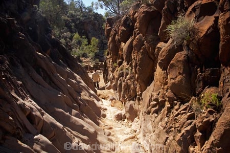 Australasian;Australia;Australian;Australian-Outback;back-country;backcountry;backwoods;canyon;canyons;Flinders-Ranges;Flinders-Ranges-N.P.;Flinders-Ranges-National-Park;Flinders-Ranges-NP;gorge;gorges;national-park;national-parks;Outback;Outback-Travel;remote;remoteness;S.A.;SA;Sacred-Canyon;South-Australia;South-Flinders-Ranges