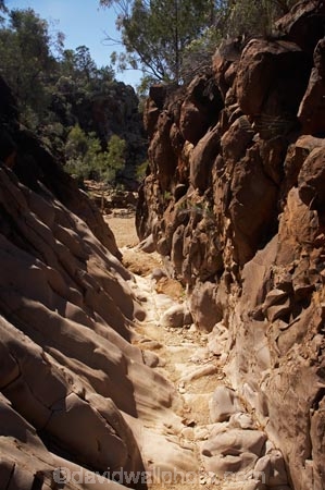Australasian;Australia;Australian;Australian-Outback;back-country;backcountry;backwoods;canyon;canyons;Flinders-Ranges;Flinders-Ranges-N.P.;Flinders-Ranges-National-Park;Flinders-Ranges-NP;gorge;gorges;national-park;national-parks;Outback;Outback-Travel;remote;remoteness;S.A.;SA;Sacred-Canyon;South-Australia;South-Flinders-Ranges
