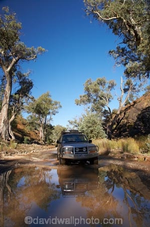 4wd;4wds;4wds;4x4;4x4s;4x4s;Australasian;Australia;Australian;Australian-Outback;back-country;backcountry;backwoods;Bunyeroo-Gorge;Bunyeroo-Valley;countryside;dusty;eucalypt;eucalypts;eucalyptus;eucalytis;Flinders-Ranges;Flinders-Ranges-N.P.;Flinders-Ranges-National-Park;Flinders-Ranges-NP;ford;fords;four-by-four;four-by-fours;four-wheel-drive;four-wheel-drives;gravel-road;gravel-roads;gum;gum-tree;gum-trees;gums;metal-road;metal-roads;metalled-road;metalled-roads;national-park;national-parks;Outback;Outback-Travel;puddle;puddles;remote;remoteness;road;roads;rural;S.A.;SA;South-Australia;South-Flinders-Ranges;suv;suvs;toyota;toyota-landcruiser;toyota-landcruisers;toyotas;tree;trees;vehicle;vehicles
