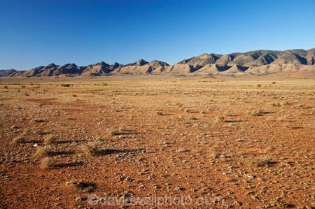 agricultural;agriculture;Australasian;Australia;Australian;Australian-Outback;back-country;backcountry;backwoods;country;countryside;farm;farming;farmland;farms;field;fields;Flinders-Ranges;Flinders-Ranges-N.P.;Flinders-Ranges-National-Park;Flinders-Ranges-NP;meadow;meadows;national-park;national-parks;Outback;Outback-Travel;paddock;paddocks;pasture;pastures;remote;remoteness;rural;S.A.;SA;sheep;South-Australia;South-Flinders-Ranges;stock;Wilpena-Pound