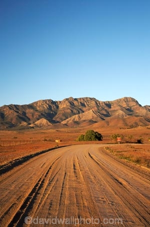 agricultural;agriculture;Australasian;Australia;Australian;Australian-Outback;back-country;backcountry;backwoods;country;countryside;dusty;farm;farming;farmland;farms;field;fields;Flinders-Ranges;Flinders-Ranges-N.P.;Flinders-Ranges-National-Park;Flinders-Ranges-NP;gravel-road;gravel-roads;meadow;meadows;metal-road;metal-roads;metalled-road;metalled-roads;national-park;national-parks;Outback;Outback-Travel;paddock;paddocks;pasture;pastures;remote;remoteness;road;roads;rural;S.A.;SA;South-Australia;South-Flinders-Ranges;Wilpena-Pound