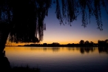 Australasia;Australia;Australian;break-of-day;calm;dawn;dawning;daybreak;first-light;Mannum;morning;Murray-Basin;Murray-Darling-Basin;Murray-Darling-System;Murray-River;orange;placid;quiet;reflection;reflections;River;rivers;S.A.;SA;serene;silhouette;silhouettes;smooth;South-Australia;still;sunrise;sunrises;sunup;tranquil;tree;trees;twilight;willow;willow-tree;willow-trees;willows