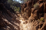 Australasian;Australia;Australian;Australian-Outback;back-country;backcountry;backwoods;canyon;canyons;Flinders-Ranges;Flinders-Ranges-N.P.;Flinders-Ranges-National-Park;Flinders-Ranges-NP;gorge;gorges;national-park;national-parks;Outback;Outback-Travel;remote;remoteness;S.A.;SA;Sacred-Canyon;South-Australia;South-Flinders-Ranges
