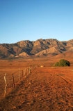 agricultural;agriculture;Australasian;Australia;Australian;Australian-Outback;back-country;backcountry;backwoods;country;countryside;farm;farming;farmland;farms;fence;fence-line;fence-lines;fence_line;fence_lines;fenceline;fencelines;fences;field;fields;Flinders-Ranges;Flinders-Ranges-N.P.;Flinders-Ranges-National-Park;Flinders-Ranges-NP;meadow;meadows;national-park;national-parks;Outback;Outback-Travel;paddock;paddocks;pasture;pastures;remote;remoteness;rural;S.A.;SA;South-Australia;South-Flinders-Ranges;Wilpena-Pound