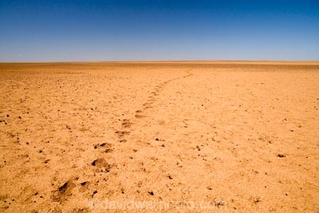arid;Australasia;Australasian;Australia;Australian;Australian-Desert;Australian-Deserts;Australian-Outback;back-country;backcountry;backwoods;barren;country;countryside;desert;Deserts;dry;empty;flat;foot-print;foot-prints;foot_print;foot_prints;footprint;footprints;hot;Oodnadatta-Track;Outback;outback-travel;red-centre;remote;remoteness;rural;S.A.;SA;sand;South-Australia;track;tracks;vast