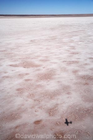 15-m-below-sea-level;aerial;aerial-photo;aerial-photography;aerial-photos;aerial-view;aerial-views;aerials;Aeroplane;Aeroplanes;Aircraft;Aircrafts;Airplane;Airplanes;alkalii-flat;Australasian;Australia;Australian;Australian-Desert;Australian-Deserts;Australian-Outback;aviation;back-country;backcountry;backwoods;barren;barreness;basin;below-sea-level;Belt-Bay;bright;bright-white;cessna;cessnas;dazzle;dazzling;depression;desert;deserts;desolate;dry;dry-lake;dry-lakes;empty;endorheric;endorheric-basin;endorheric-basins;endorheric-lake;extreme;flat;Flight;Flights;Fly;Flying;geographic;geography;glare;glary;hostile;huge;lake;lake-bed;lake-beds;Lake-Eyre-N.P.;Lake-Eyre-National-Park;Lake-Eyre-NP;lakes;national-park;national-parks;Oodnadatta-Track;Outback;pan;pans;plane;plane-shadow;Planes;playa;playas;remote;remoteness;S.A.;SA;sabkha;saline;salt;salt-crust;salt-lake;salt-lakes;salt-pan;salt-pans;salt-pattern;salt-patterns;salt_pan;salt_pans;saltpan;saltpans;salty;scale;shadow;shadows;South-Australia;surface-pattern;surface-patterns;vast;white;white-surface;wilderness;worlds-largest-salt-lake