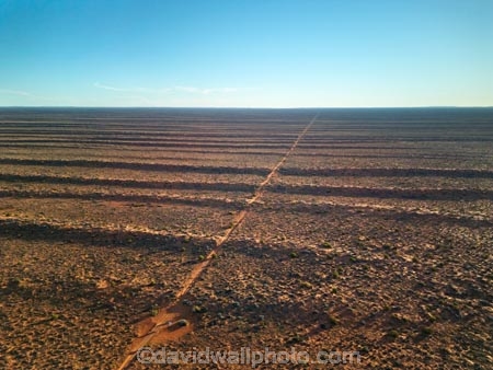 aerial;aerial-image;aerial-photo;aerial-photograph;aerial-photography;aerial-view;aerials;Drone;Drones;drone-aerial;Simpson-Desert;desert;deserts;Munga_Thirri–Simpson-Desert-National-Park;Munga_Thirri–Simpson-Desert-Conservation-Park;Simpson-Desert-Conservation-Park;Simpson-Desert-National-Park;Munga_Thirri–Simpson-Desert-NP;French-Line;The-French-Line;sand-dune;sand;dune;dunes;track;four-wheel-drive-track;tracks;The-French-Line;dune;dunes;parallel-dunes;sand-dunes;sand;track;4wd-track;tracks;four-wheel-drive-track;Witjira-Natiojnal-Park;Witjara;national-parks;South-Australia;SA;S.A.;Australia;Australian;outback;outback-Australia