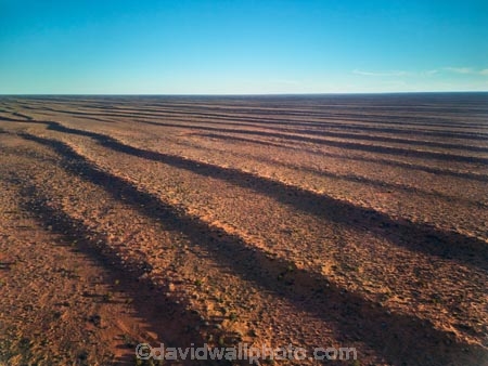 aerial;aerial-image;aerial-photo;aerial-photograph;aerial-photography;aerial-view;aerials;Drone;Drones;drone-aerial;Simpson-Desert;desert;deserts;Munga_Thirri–Simpson-Desert-National-Park;Munga_Thirri–Simpson-Desert-Conservation-Park;Simpson-Desert-Conservation-Park;Simpson-Desert-National-Park;Munga_Thirri–Simpson-Desert-NP;French-Line;The-French-Line;sand-dune;sand;dune;dunes;The-French-Line;dune;dunes;parallel-dunes;sand-dunes;sand;Witjira-Natiojnal-Park;Witjara;national-parks;South-Australia;SA;S.A.;Australia;Australian;outback;outback-Australia
