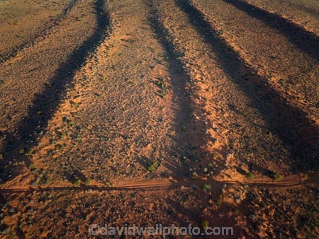 aerial;aerial-image;aerial-photo;aerial-photograph;aerial-photography;aerial-view;aerials;Drone;Drones;drone-aerial;Simpson-Desert;desert;deserts;Munga_Thirri–Simpson-Desert-National-Park;Munga_Thirri–Simpson-Desert-Conservation-Park;Simpson-Desert-Conservation-Park;Simpson-Desert-National-Park;Munga_Thirri–Simpson-Desert-NP;French-Line;The-French-Line;sand-dune;sand;dune;dunes;track;four-wheel-drive-track;tracks;The-French-Line;dune;dunes;parallel-dunes;sand-dunes;sand;track;4wd-track;tracks;four-wheel-drive-track;national-parks;South-Australia;SA;S.A.;Australia;Australian;outback;outback-Australia