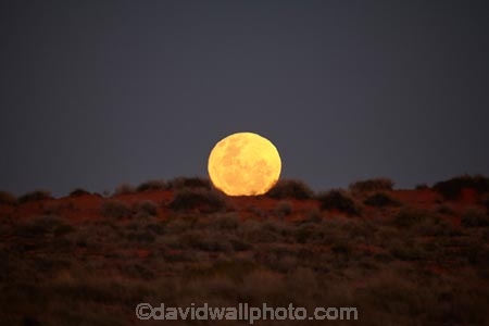 South-Australia;SA;S.A.;Australia;Australian;outback;outback-Australia;Simpson-Desert;desert;deserts;Munga_Thirri–Simpson-Desert-National-Park;Munga_Thirri–Simpson-Desert-Conservation-Park;Simpson-Desert-Conservation-Park;Simpson-Desert-National-Park;Munga_Thirri–Simpson-Desert-NP;French-Line;The-French-Line;moon;lunar;moon-rise;full-moon;night-sky;national-parks