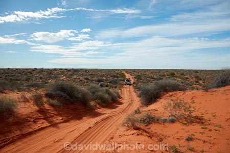South-Australia;SA;S.A.;Australia;Australian;outback;outback-Australia;Simpson-Desert;desert;deserts;Munga_Thirri–Simpson-Desert-National-Park;Munga_Thirri–Simpson-Desert-Conservation-Park;Simpson-Desert-Conservation-Park;Simpson-Desert-National-Park;Munga_Thirri–Simpson-Desert-NP;French-Line;The-French-Line;sand-dune;sand;dune;dunes;track;four-wheel-drive-track;tracks;The-French-Line;national-parks