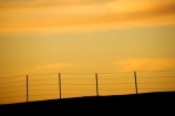 Australasia;Australasian;Australia;Australian;Australian-Desert;Australian-Deserts;Australian-Outback;back-country;backcountry;backwoods;barb-wire;barbed-wire;barbed_wire;country;countryside;desert;Deserts;dusk;evening;Fence;fence-line;fence-lines;fence_line;fence_lines;fenceline;fencelines;fences;nightfall;Oodnadatta-Track;orange;Outback;razor-wire;red-centre;remote;remoteness;rural;S.A.;SA;sky;South-Australia;Sunset;sunsets;twilight;William-Creek