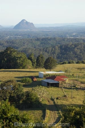 agriculture;australasia;Australia;australian;bush;farm;farmland;farms;field;fields;forest;forests;Glass-House-Mountains;Glass-House-Mountains-National;green;Hinterland;lush;meadow;meadows;mountain;mountains;natural;nature;paddock;paddocks;pasture;pastures;Queensland;rain-forest;rain-forests;rain_forest;rain_forests;rainforest;rainforests;rural;sunshine-coast;tree;trees;valleys;view;views;volcanic-plug;volcanic-plugs;woods