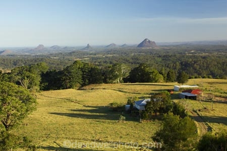agriculture;australasia;Australia;australian;bush;farm;farmland;farms;field;fields;forest;forests;Glass-House-Mountains;Glass-House-Mountains-National;green;Hinterland;lush;meadow;meadows;mountain;mountains;natural;nature;paddock;paddocks;pasture;pastures;Queensland;rain-forest;rain-forests;rain_forest;rain_forests;rainforest;rainforests;rural;sunshine-coast;tree;trees;valleys;view;views;volcanic-plug;volcanic-plugs;woods